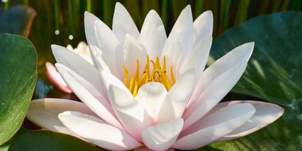 168441344_presentation_normal_none